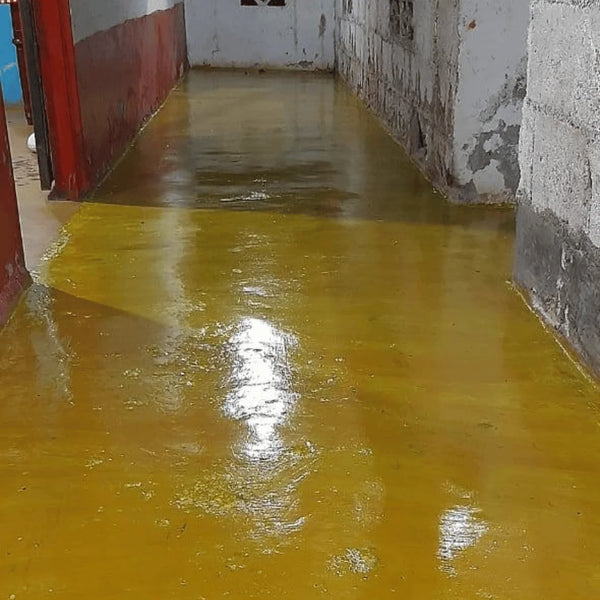 Lo aplique en el corredor y el cambio fue impresionante